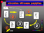 CirculusVitiosus